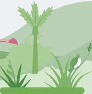 Te Taio - the Envoronment